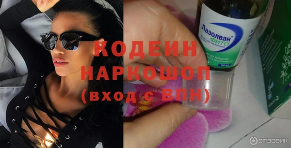 apvp Гусев