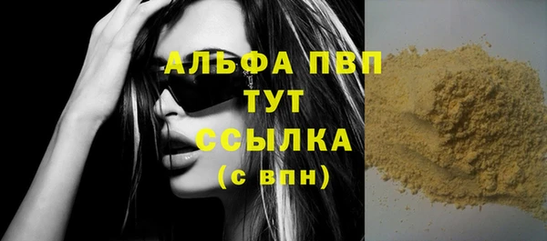 apvp Гусев