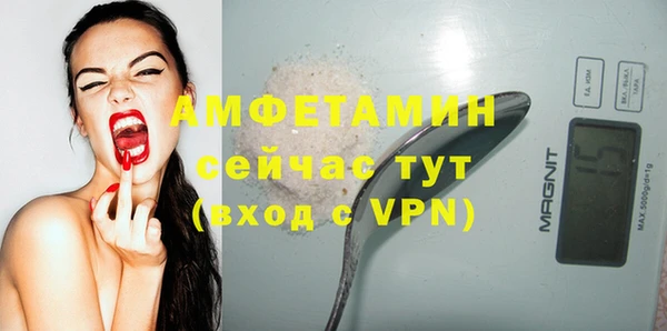 apvp Гусев