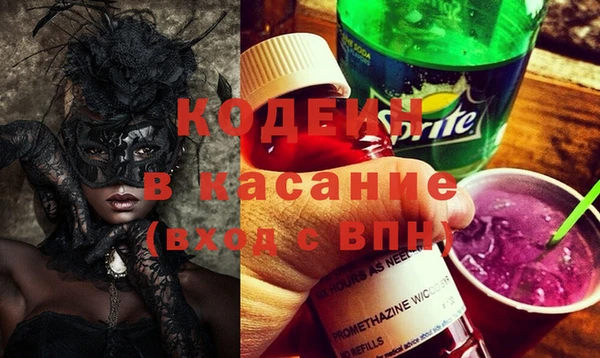 apvp Гусев
