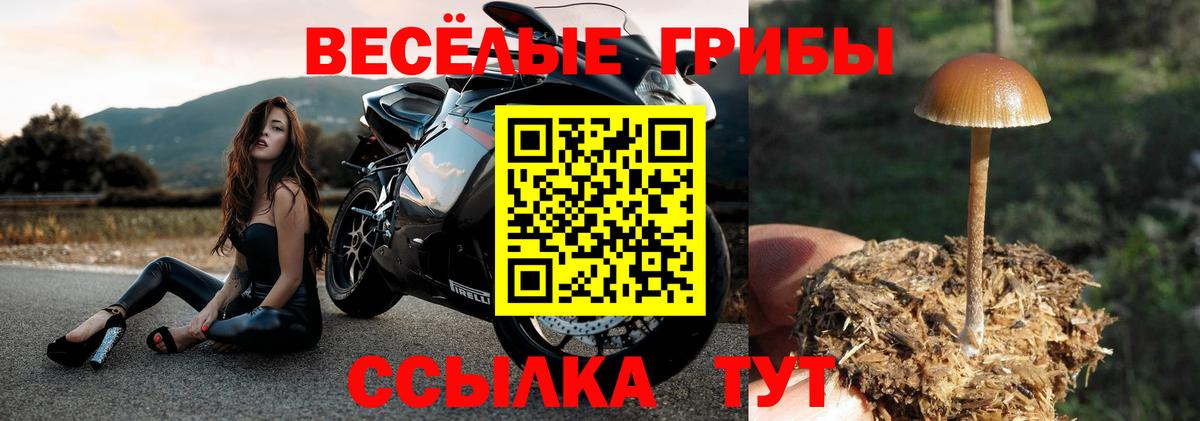 Псилоцибиновые грибы Cubensis  Галлюциногенные грибы ЛСД  Ейск  Вход с VPN 